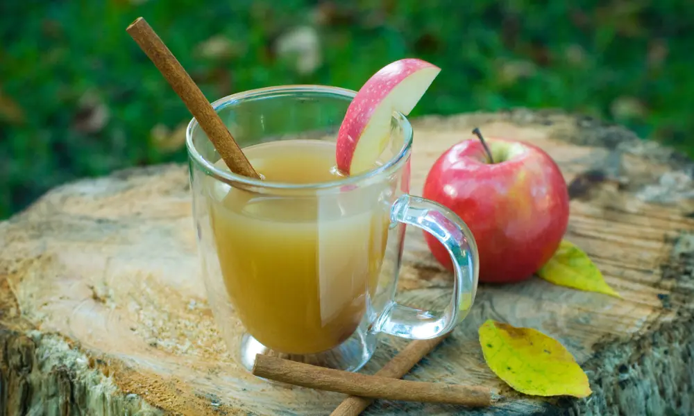 Hot apple cider in a glass cup on a tree stump